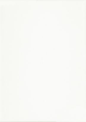 RENOLIT EXOFOL PX CRYSTAL WHITE 9294 ULTI-MATT 